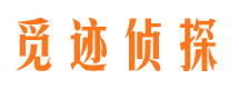 维扬市私家侦探